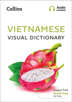 Book Cover for Vietnamese Visual Dictionary