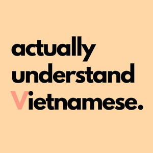 YouTube Thumbnail for Actually Understand Vietnamese