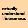 Image for Actually Understand Vietnamese