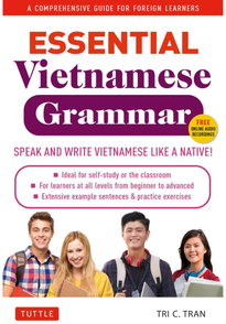 Image for Essential Vietnamese Grammar