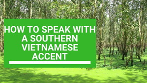 YouTube Thumbnail for Learn Vietnamese: How to Speak with a Southern Vietnamese Accent (Tung Thanh Ly Vietnam)