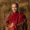 Image for Minh Niệm