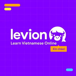 Image for Levion