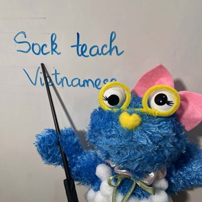 Image for Sock Teach Vietnamese