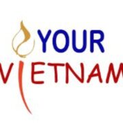 Image for Your Vietnamese
