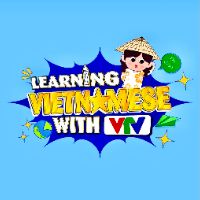 Image for VTV